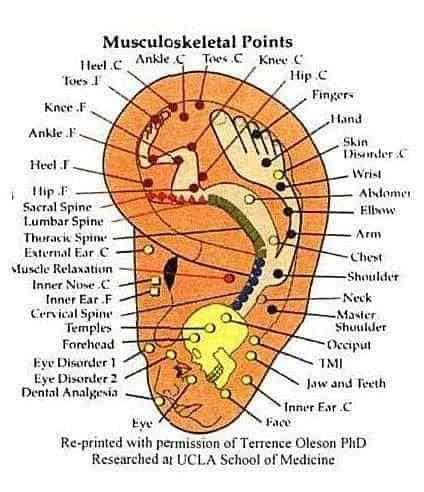 Kaz Psychic on Auriculotherapy