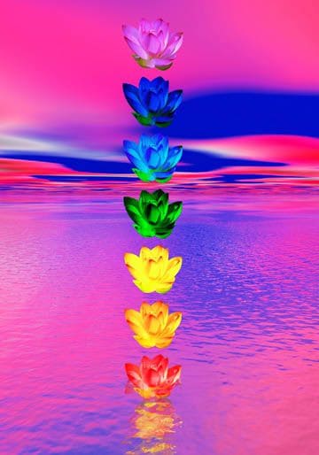 Chakras